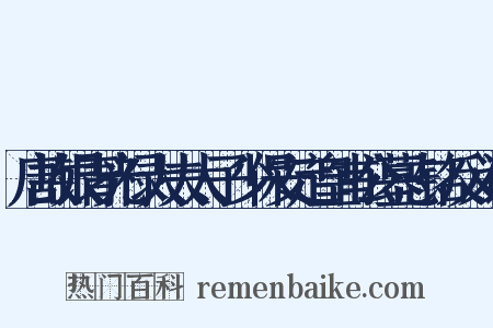 唐故银青光禄大夫太子少保安定皇甫公墓志铭反义词是什么意思的图片